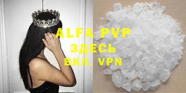дмт Богданович
