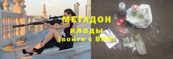 дмт Богданович