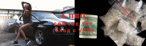 МДПВ Богородск