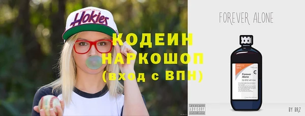 дмт Богданович