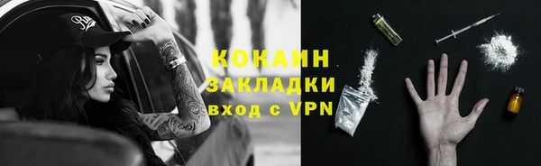 дмт Богданович