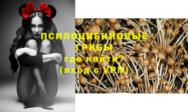 МДПВ Богородск