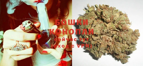 дмт Богданович