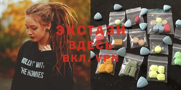 дмт Богданович