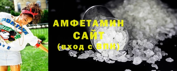 дмт Богданович